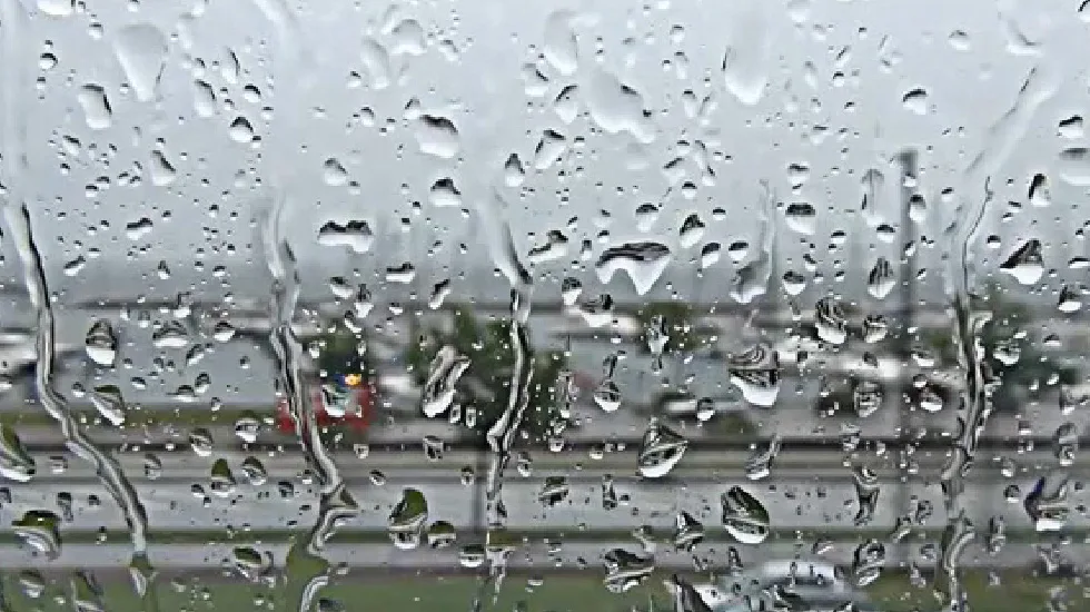 Video Post Format - MK体育官网